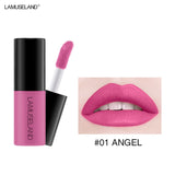 12 Color Matte Nude Velvet Texture Lip Gloss
