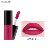 12 Color Matte Nude Velvet Texture Lip Gloss
