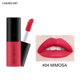 12 Color Matte Nude Velvet Texture Lip Gloss