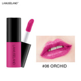 12 Color Matte Nude Velvet Texture Lip Gloss