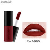 12 Color Matte Nude Velvet Texture Lip Gloss