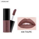 12 Color Matte Nude Velvet Texture Lip Gloss