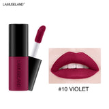 12 Color Matte Nude Velvet Texture Lip Gloss