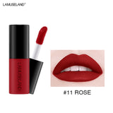 12 Color Matte Nude Velvet Texture Lip Gloss